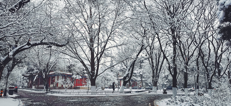 北京大學(xué) 新年初雪翩躚而至（崔喆/攝）