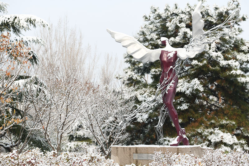 中國農(nóng)業(yè)大學(xué) 飛人戲雪（歐陽永志/攝）