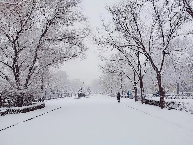 山西財經(jīng)大學(xué) 大雪過后的校園（學(xué)校供圖）