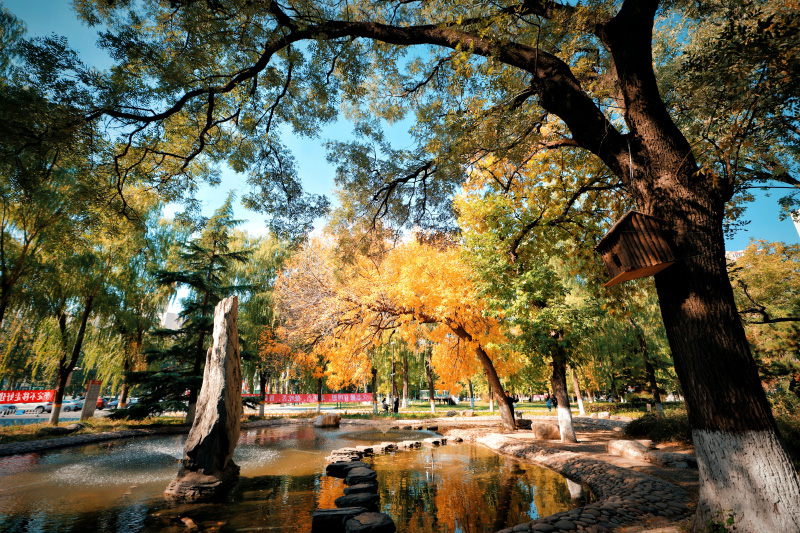 中國人民大學(xué)校園，一勺池畔，秋意盎然。吳夢(mèng)婷攝